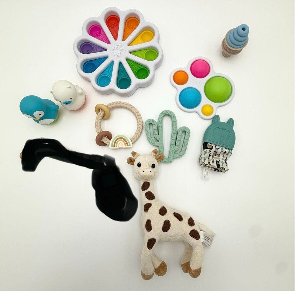 Fat Brain Toys Itzy Ritzy Sweetooth Vulli Lot of Infant Developmental Toys - All